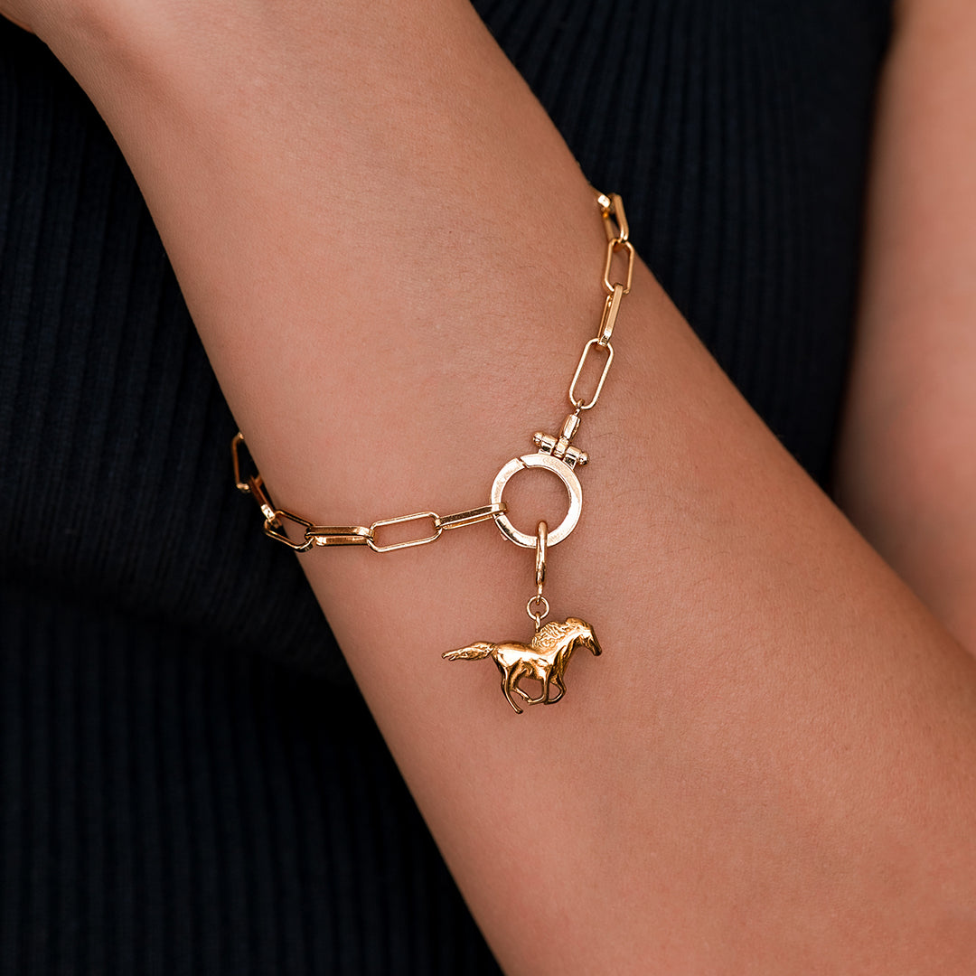 Charm a Cavallo