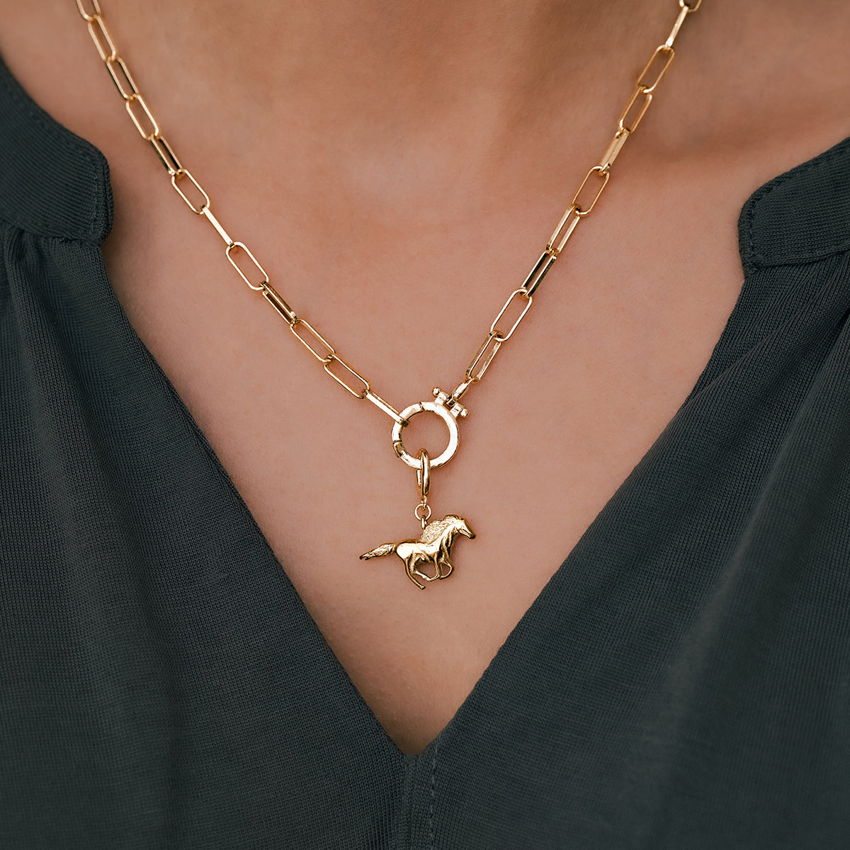 Charm a Cavallo