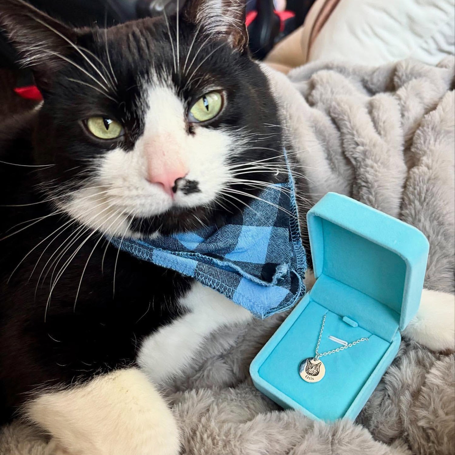 Collana con faccia di animale domestico