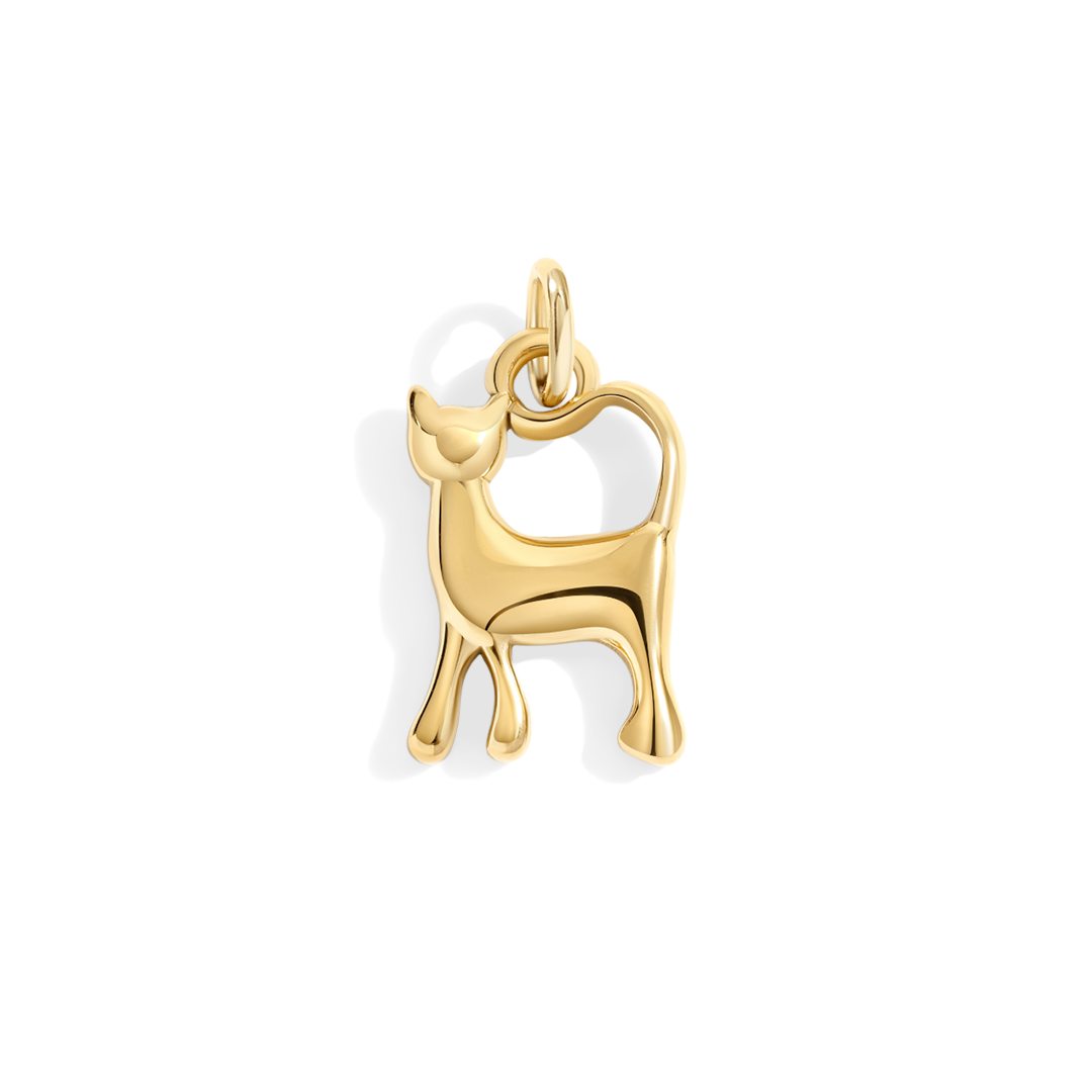 Charm gatto