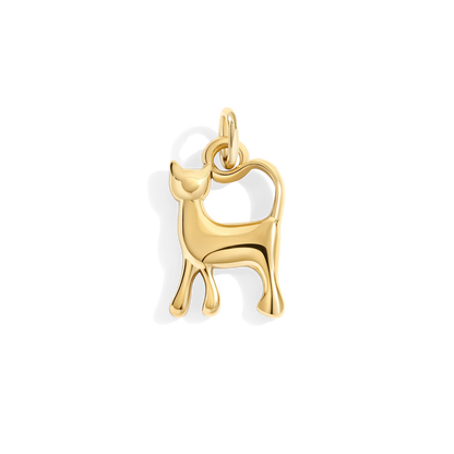 Charm gatto