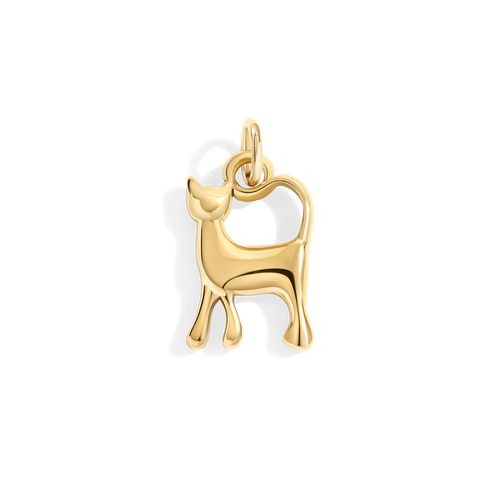 Charm gatto
