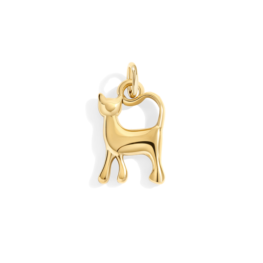 Charm gatto