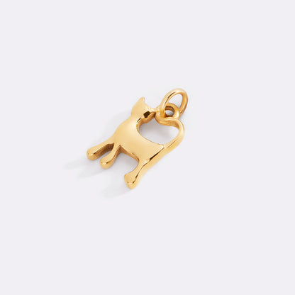 Charm gatto