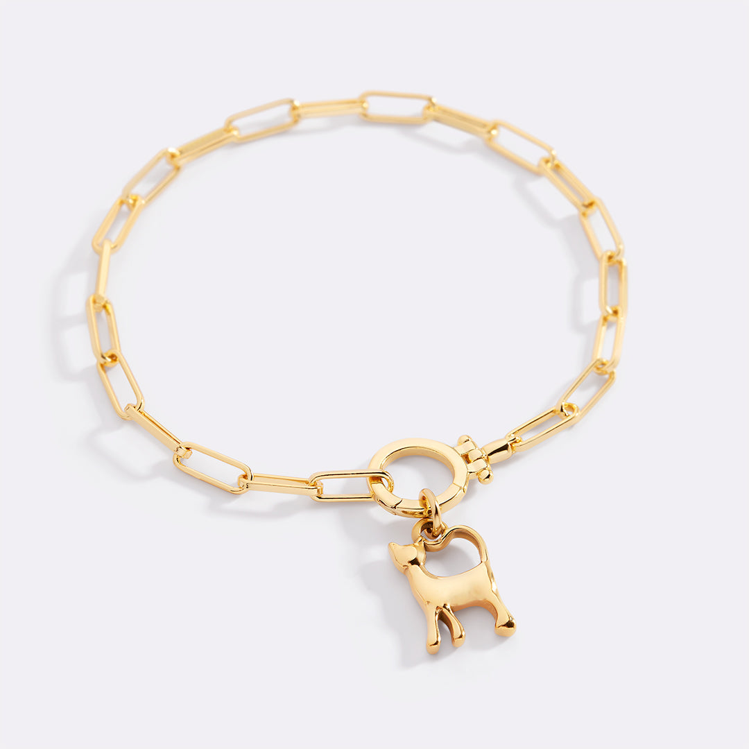 Charm gatto