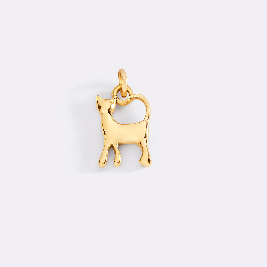 Charm gatto