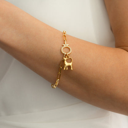 Charm gatto