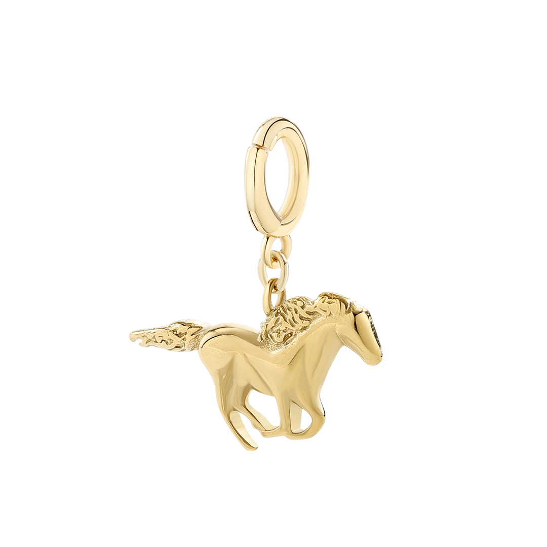 Charm a Cavallo