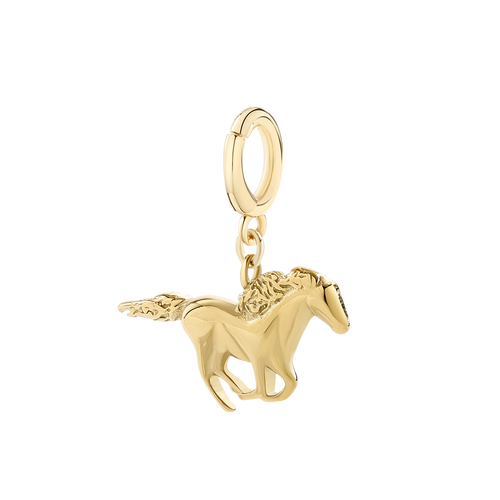 Charm a Cavallo