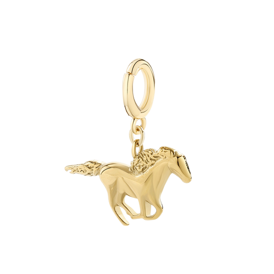 Charm a Cavallo