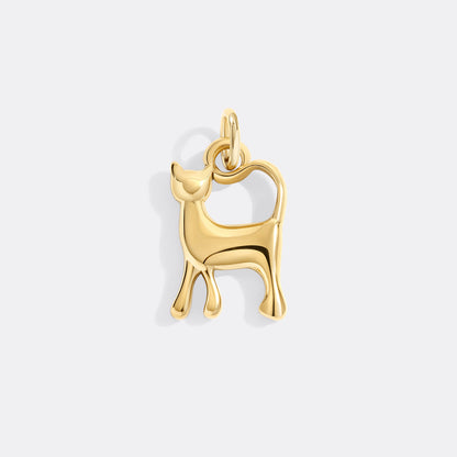 Charm gatto